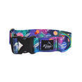 Load image into Gallery viewer, Astromutt Buckle Collar