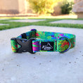 Load image into Gallery viewer, Hazy Daze Buckle Collar