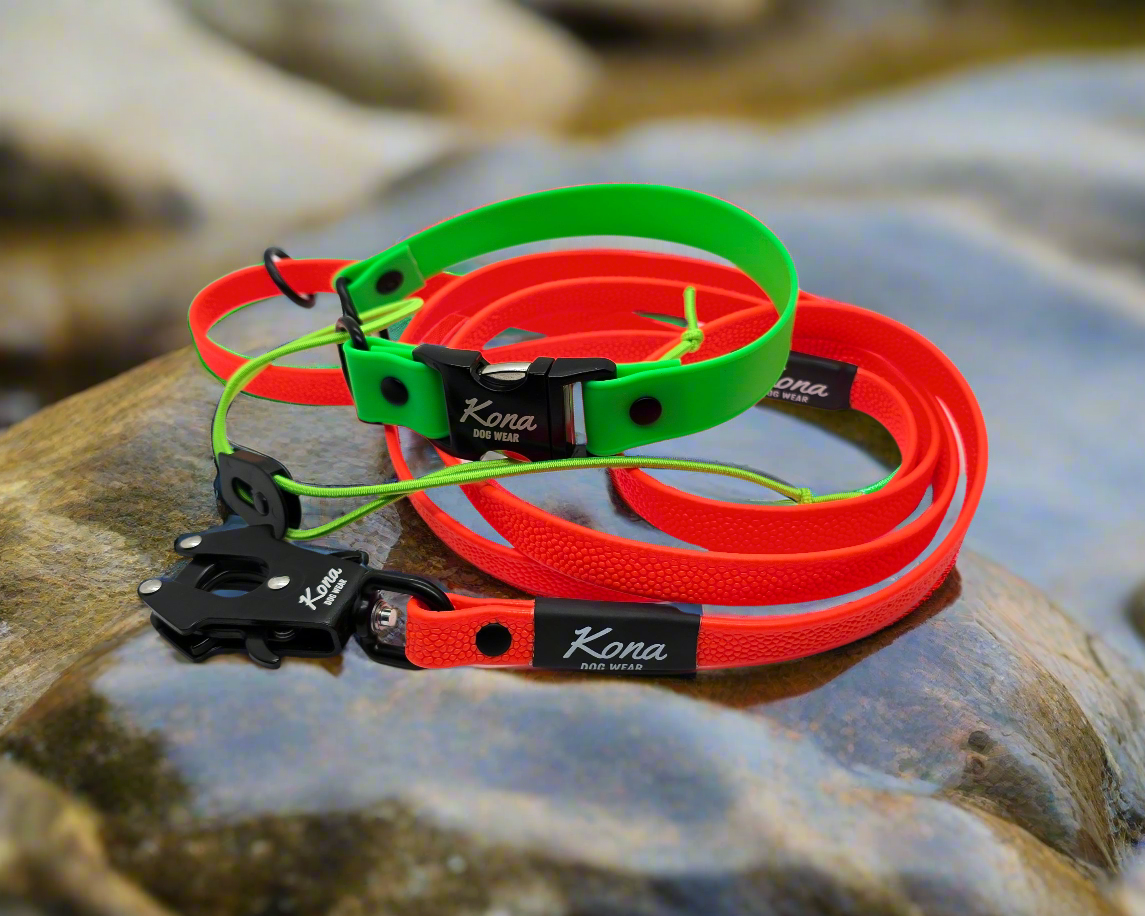 Pebble BioThane Leash