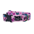 Load image into Gallery viewer, Love Always Buckle Collar