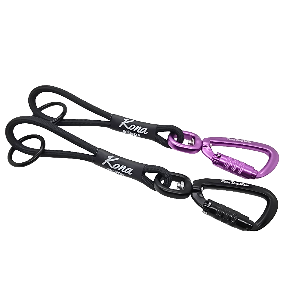 Prong Backup Safety Clip - Bulk Packs