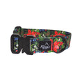 Load image into Gallery viewer, Noel Buckle Collar