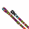 Load image into Gallery viewer, Fiesta Leash
