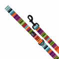 Load image into Gallery viewer, Fiesta Leash