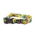 Load image into Gallery viewer, Hilosaurus Buckle Collar
