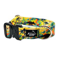 Load image into Gallery viewer, Hilosaurus Buckle Collar