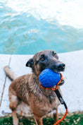 Load image into Gallery viewer, Denali Tug Ball - Mystery