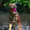 Load image into Gallery viewer, Denali Tug Ball - Mystery