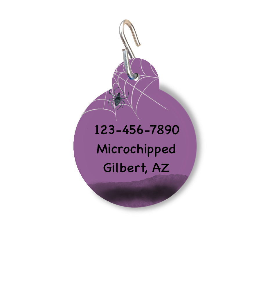 Trick or Treat ID Tag