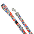 Load image into Gallery viewer, Liberty Leash