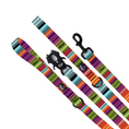 Load image into Gallery viewer, Fiesta Leash