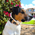 Load image into Gallery viewer, Sailor Ink Martingale Collar