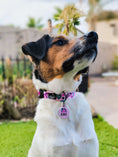 Load image into Gallery viewer, Love Always Buckle Collar