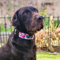 Load image into Gallery viewer, Love Always Martingale Collar
