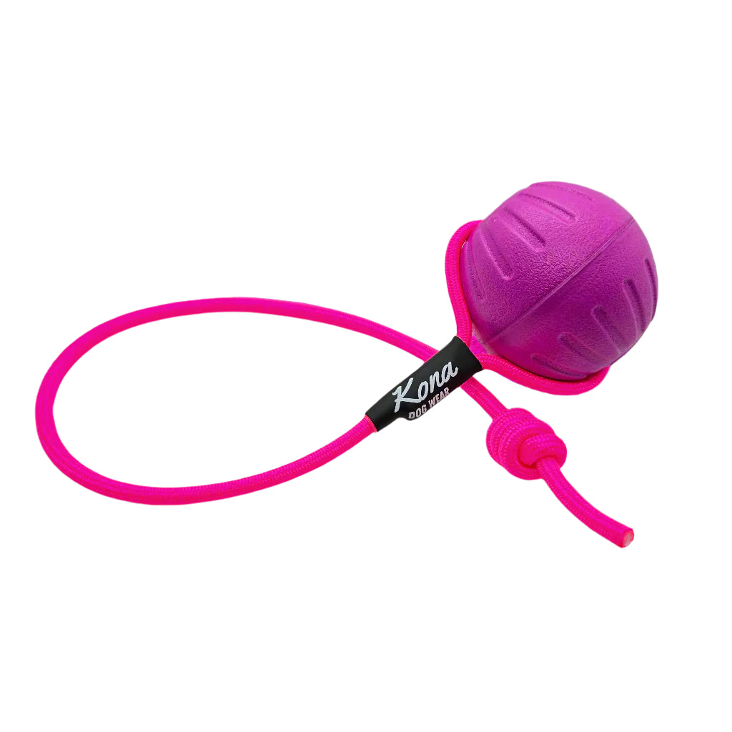 Phoenix Tug Toy