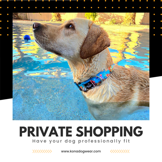 Private Shopping Experience
