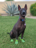 Cargar la imagen en la vista de la galería, WagWellies® Mojave
