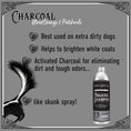 Cargar la imagen en la vista de la galería, Charcoal Liquid Shampoo | Project Sudz