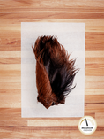 Load image into Gallery viewer, Beef Ear with Hair