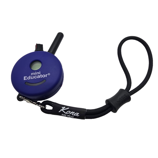 Remote Wristlet