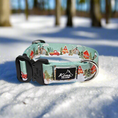 Load image into Gallery viewer, Snow Day Buckle Collar