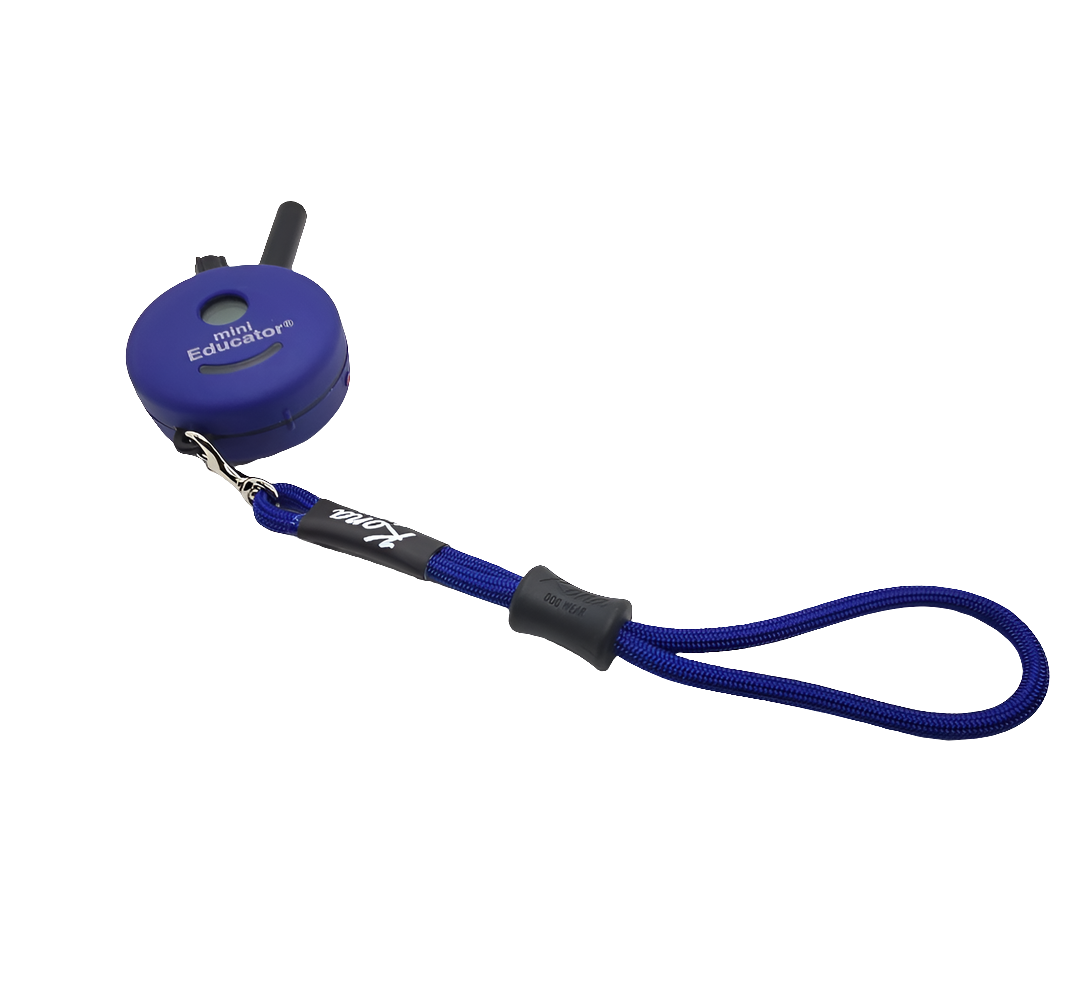 Remote Wristlet - Bulk Packs