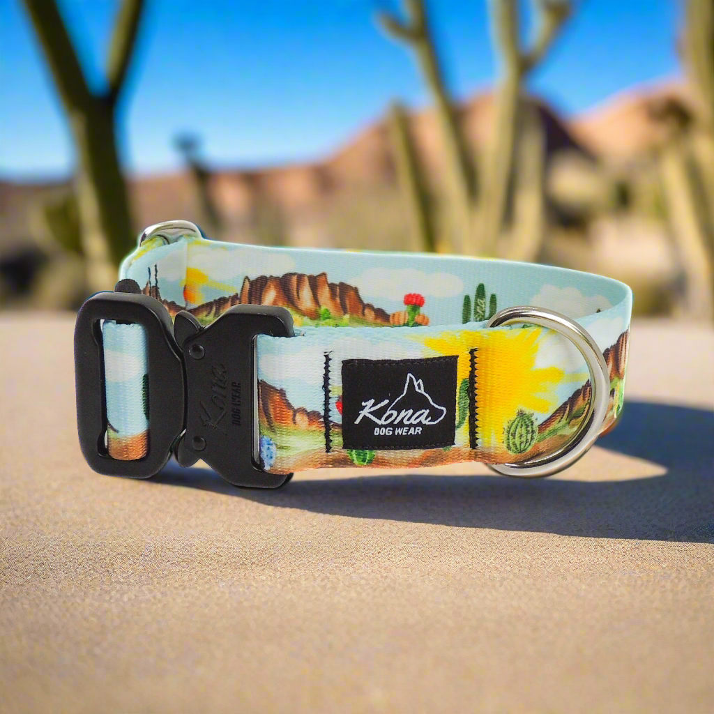 Collar con hebilla Desert Dreams