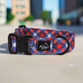 Load image into Gallery viewer, America Buckle Collar