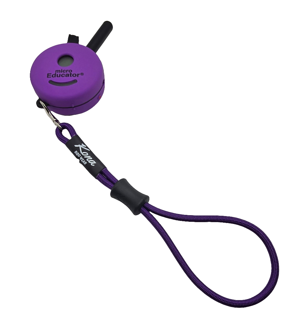 Remote Wristlet - Bulk Packs