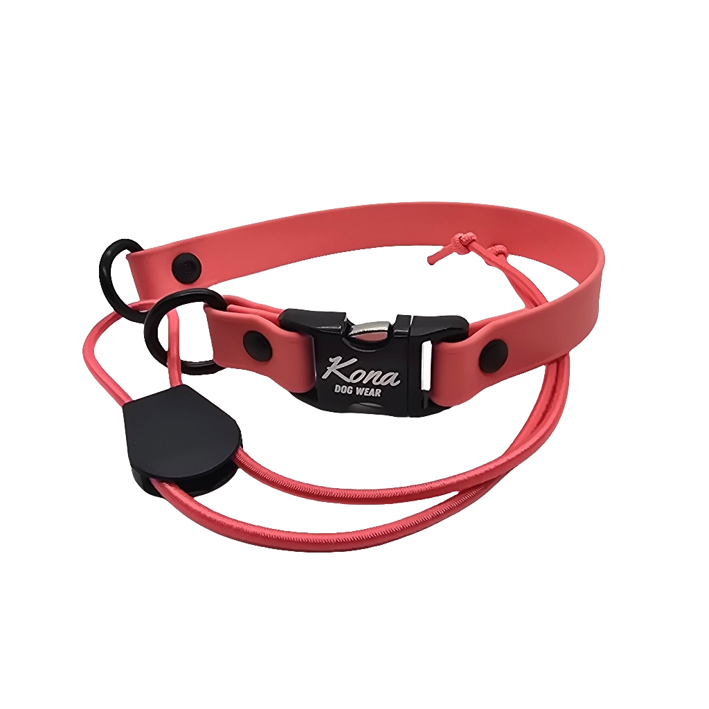 Collar con hebilla americana