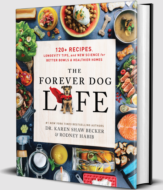 Book titled 'The Forever Dog Life' with a colorful cover featuring images of food and a dog.
