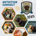 Cargar la imagen en la vista de la galería, Canine Nutrition Consultation
