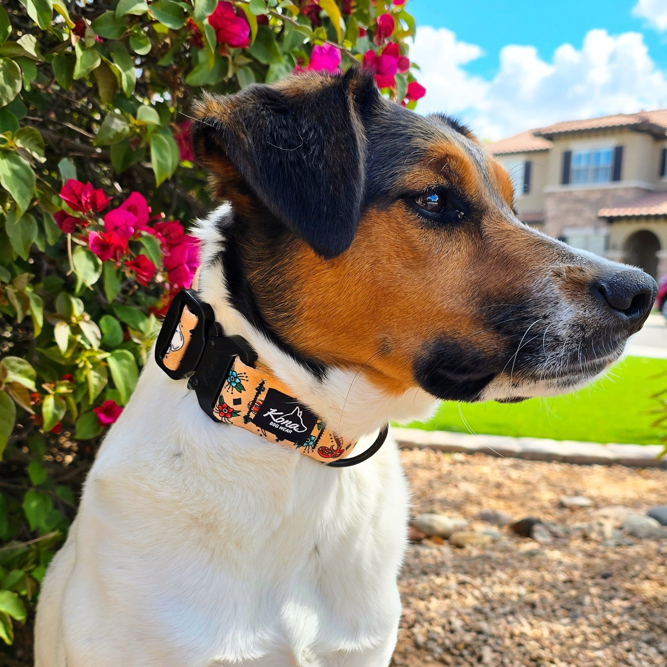 Collar con hebilla de tinta marinera