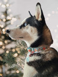 Load image into Gallery viewer, Snow Day Martingale Collar