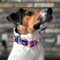Load image into Gallery viewer, The Kelly Buckle Collar