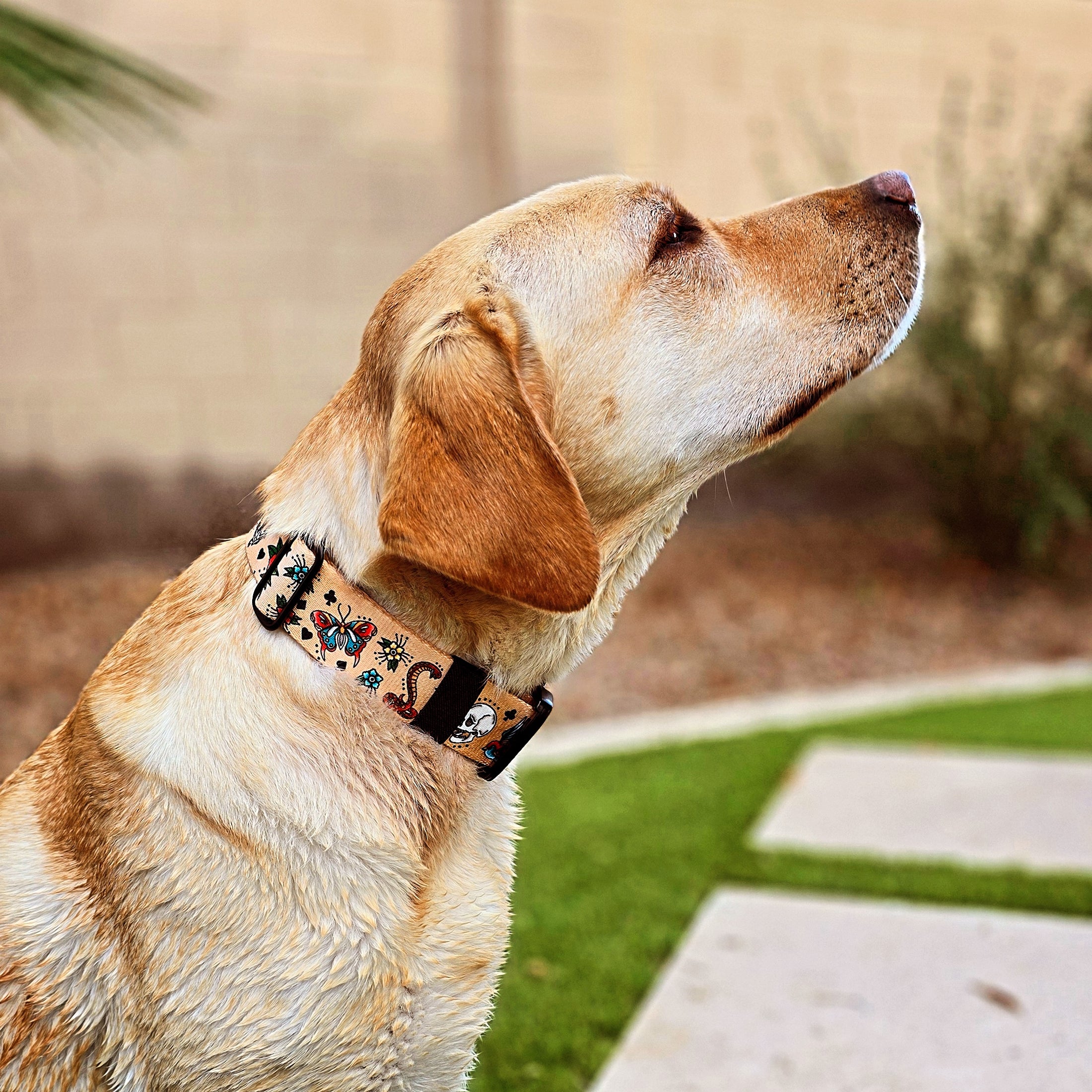 Collar con hebilla de tinta marinera