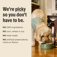Load image into Gallery viewer, Protein Plus Meal Topper - Honest Kitchen
