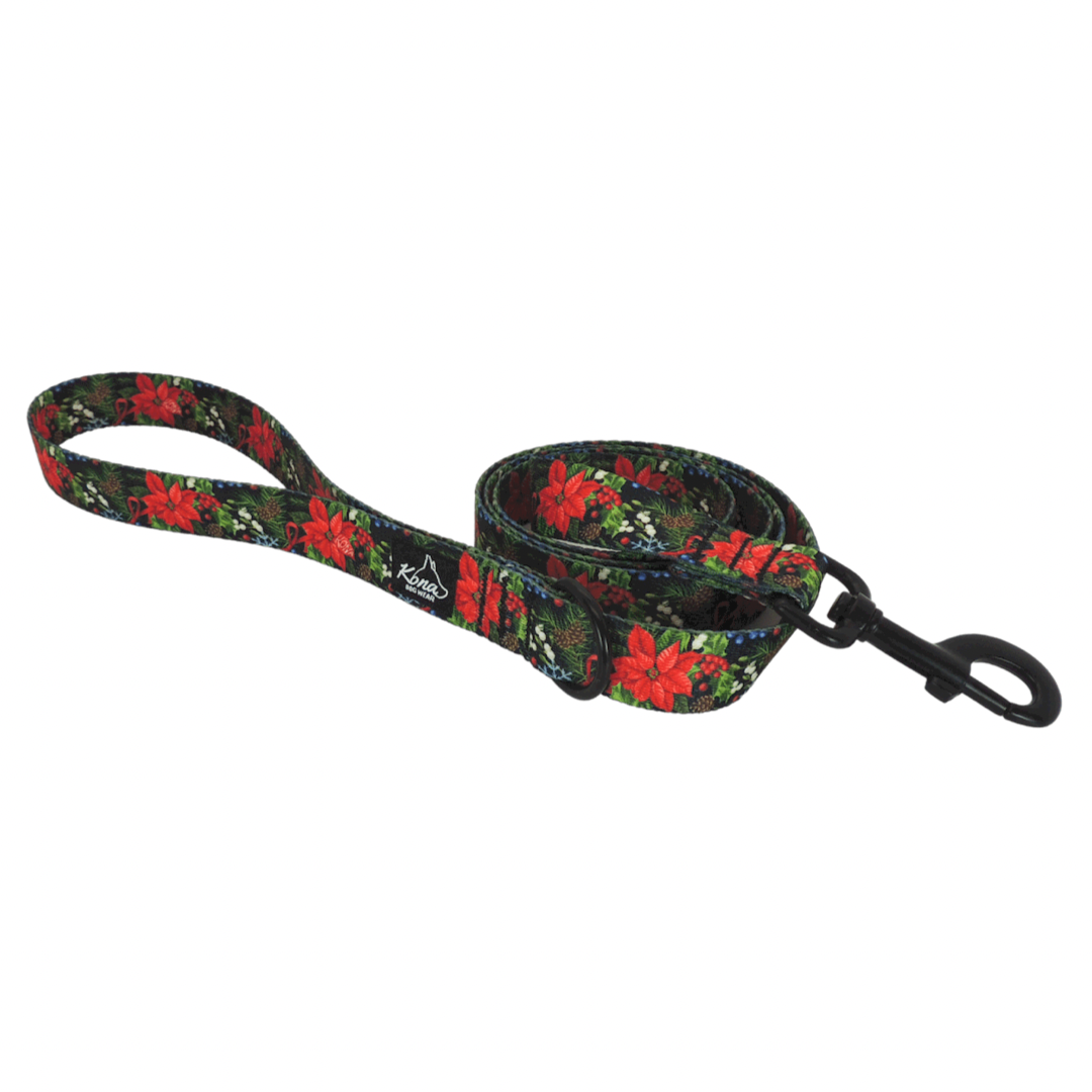 Noel Leash
