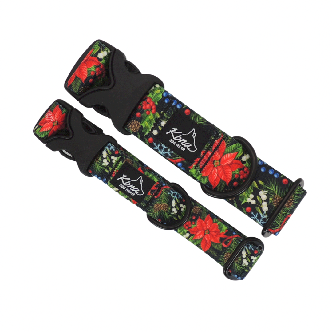Noel Buckle Collar