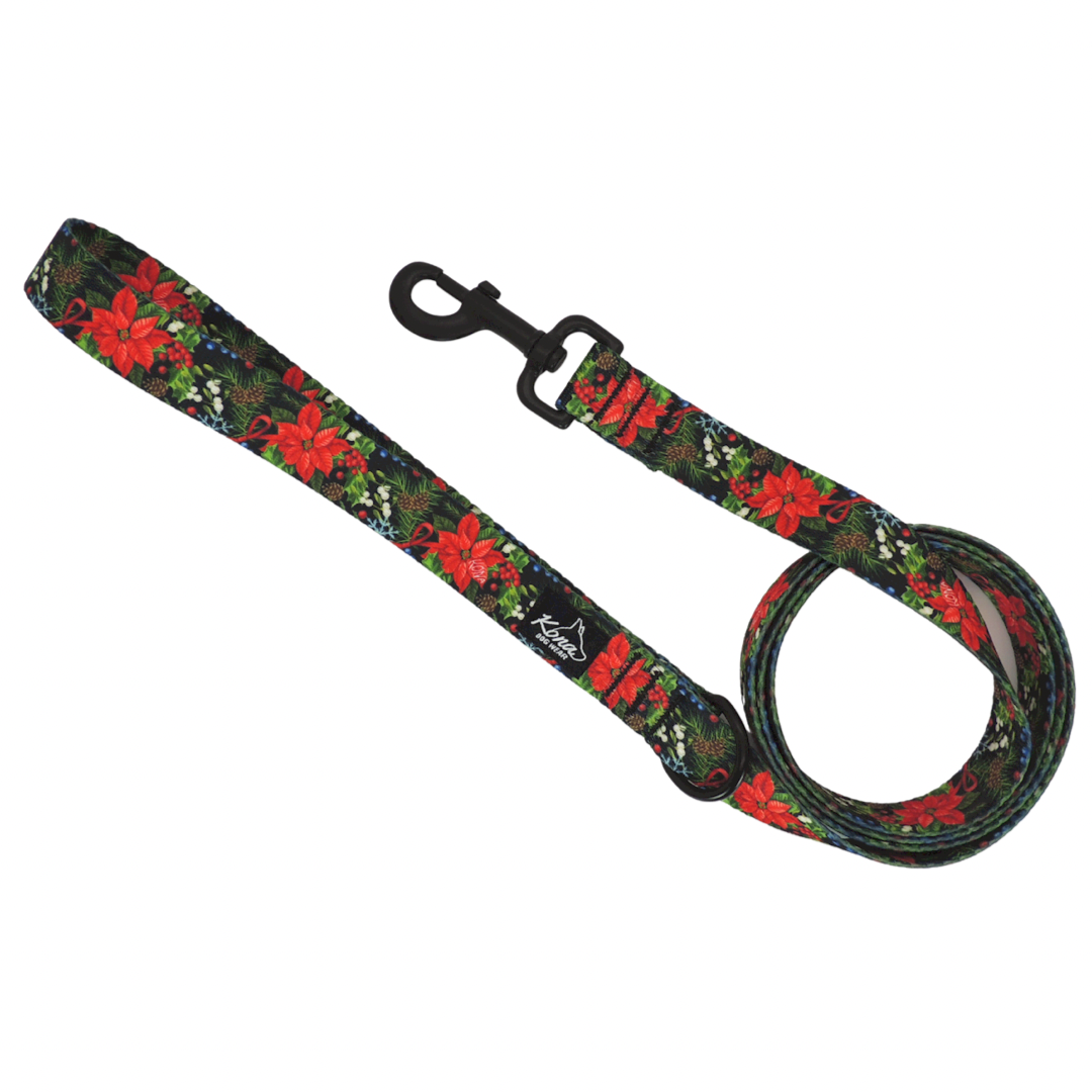 Noel Leash