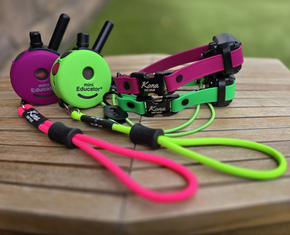 E-Collars