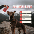 Load image into Gallery viewer, Beef Adventure Ready Bar
