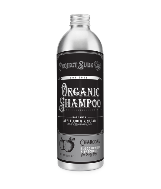 Charcoal Liquid Shampoo | Project Sudz