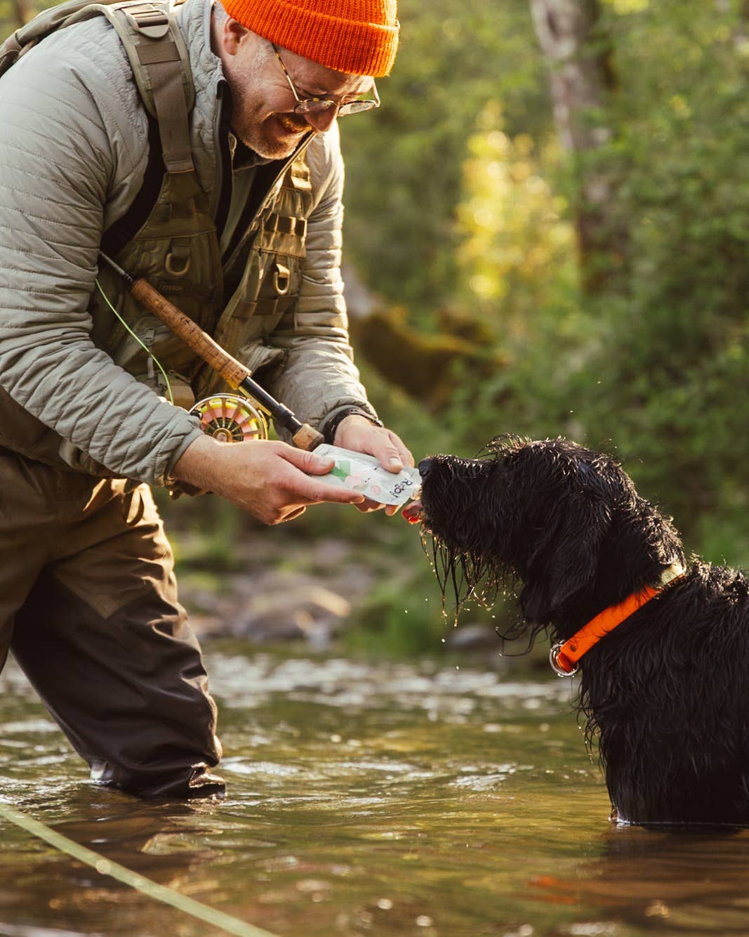 Rigby Organic Salmon Squeeze Pouch for Dogs