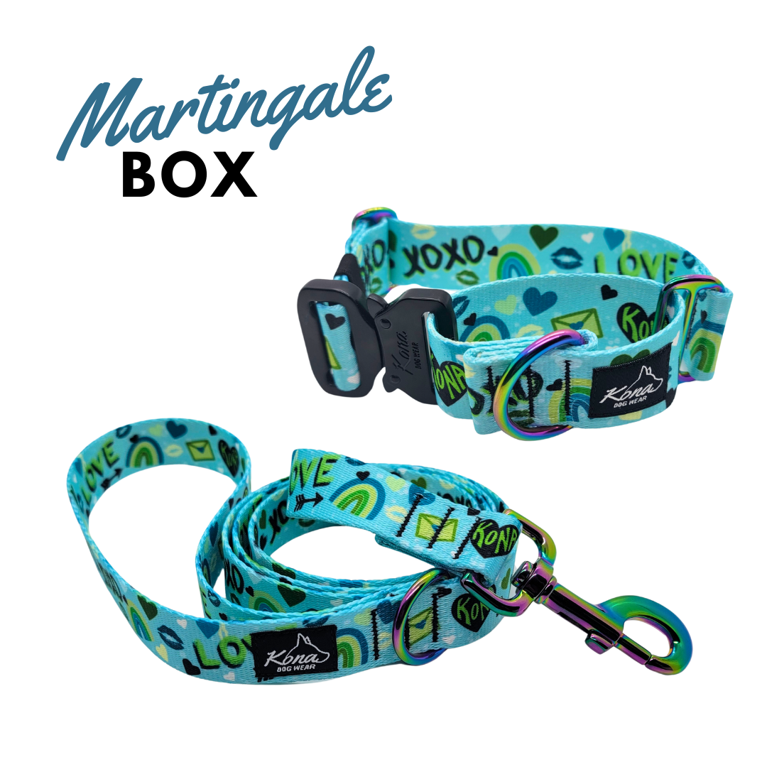 The Martingale Box