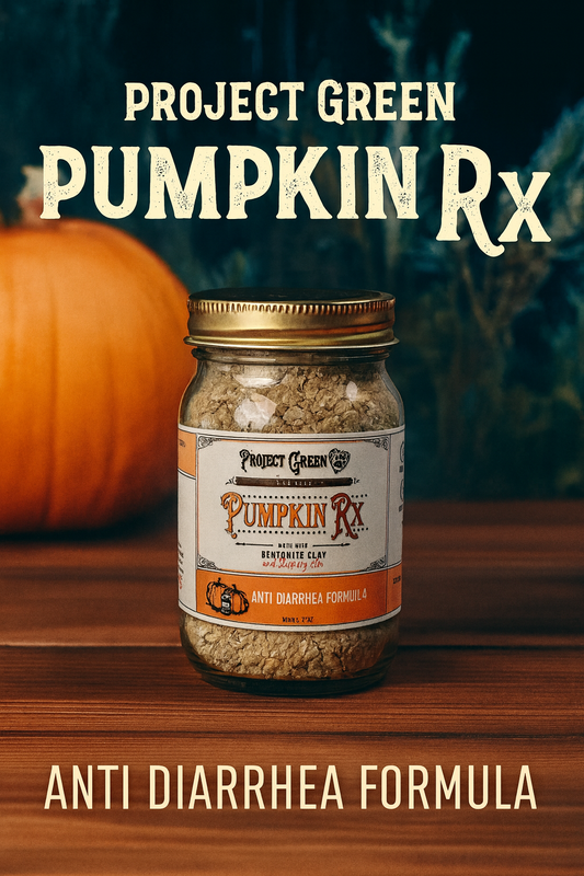 Pumpkin Rx