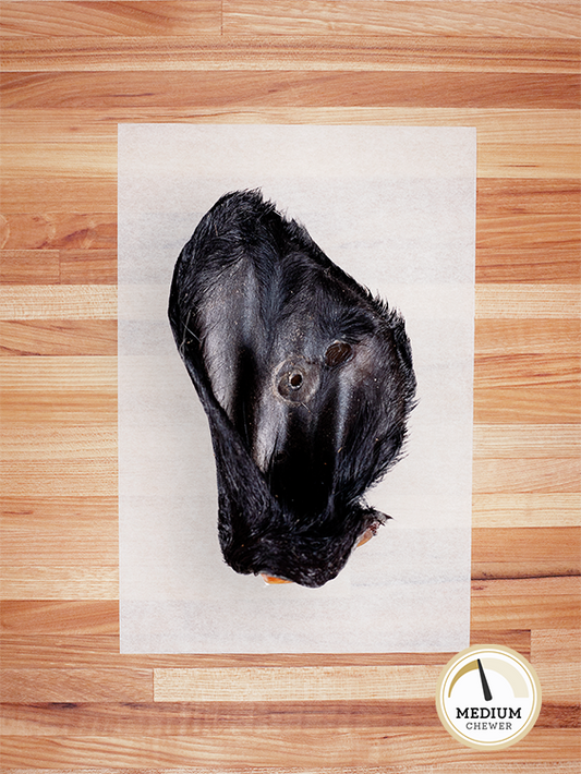 Beef Ear with Hair