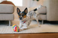 Load image into Gallery viewer, Snack Attack Plush Dog Toys MINI
