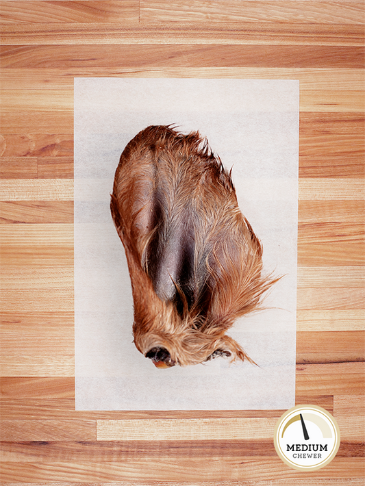Beef Ear with Hair