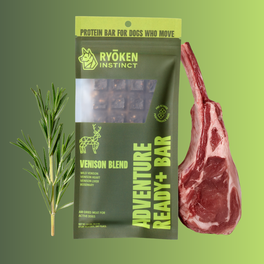 Ryoken Venison Adventure Ready Bar